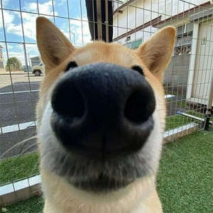 玩家头像