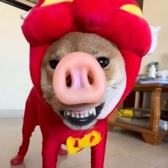 玩家头像