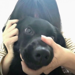 玩家头像